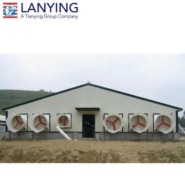 competitive price steel structure building for chicken house